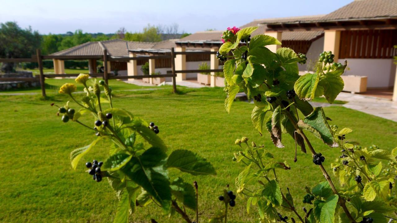 Hotel Tupei Калазета Екстериор снимка